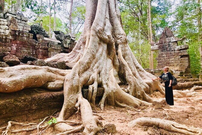 1-Day Angkor Wat Cycling Tour: Scenic Bike Adventure in Siem Reap - Angkor Thom and the Bayon’s Stone Faces