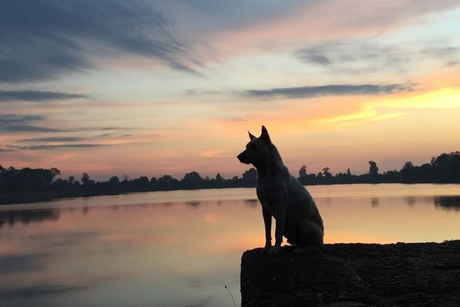 1 Day Angkor Wat with Sunrise Tour - Sunrise at Angkor Wat is worth the early start