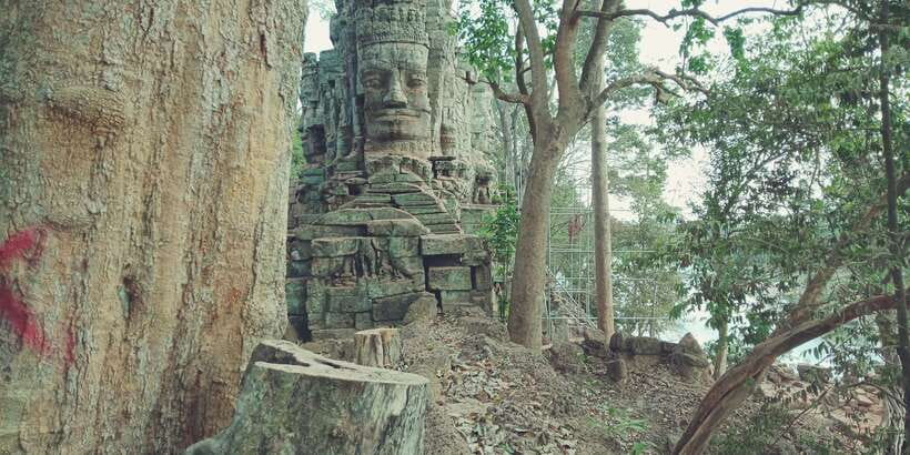 1-Day private Angkor Temple Tour from Siem Reap - Transport, heat, and the real pace of the day