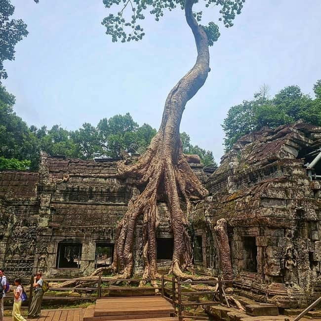 1-Day Trip to Angkor Wat with a Private or Shared Guide in Spanish - Ta Prohm and the Power of the First Impression