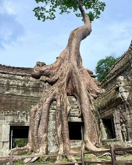 1-Day Trip to Angkor Wat with a Private or Shared Guide in Spanish - The Spanish Guide and Photo Help