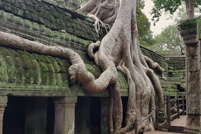 1day Private tour, Angkor sunrise,all main temples, Banteay srei - Banteay Srei’s smaller scale and fine carvings