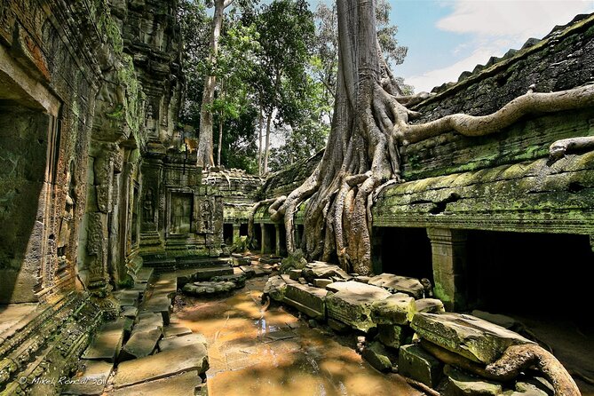 1day private tour to all majestic Temples in Angkor and Sunset - Phimeanakas and the royal compound