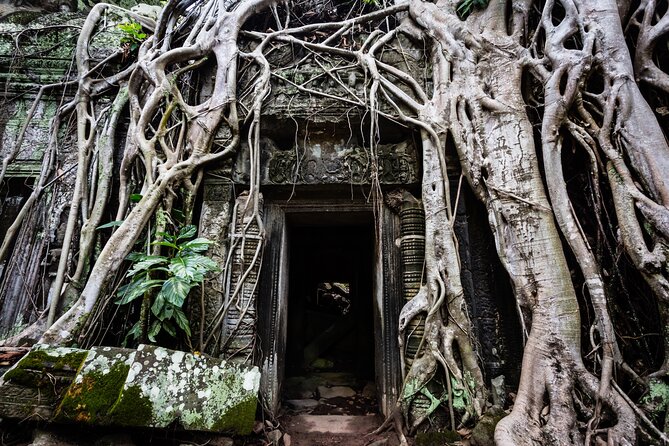 2-Day : Angkor Sunrise, Kompong Phluk Sunset & Banteay Srei Tour - Ta Prohm and Bayon, two very different Angkor icons