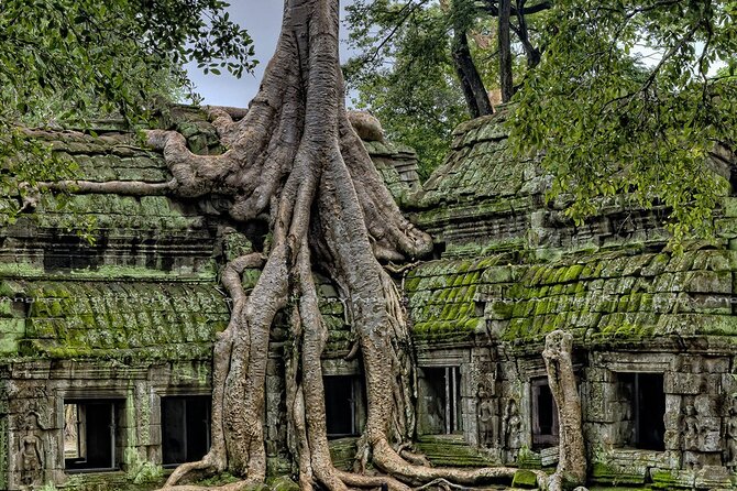 2-Day Angkor Wat, Banteay Srei & Floating Village Kampong Pluk - Day two starts before dawn at Angkor Wat