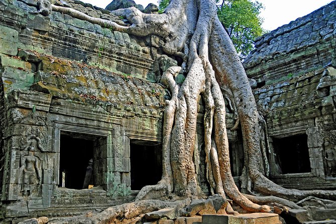 2-Day Angkor Wat With Small, Big Circuit and Banteay Srei Tour - Ta Prohm and Ta Nei: famous roots, quieter ruins