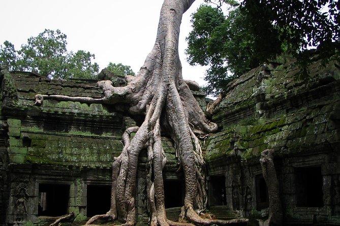 2 Days Angkor Wat Tranquility Tour - Banteay Samre rewards a slower look