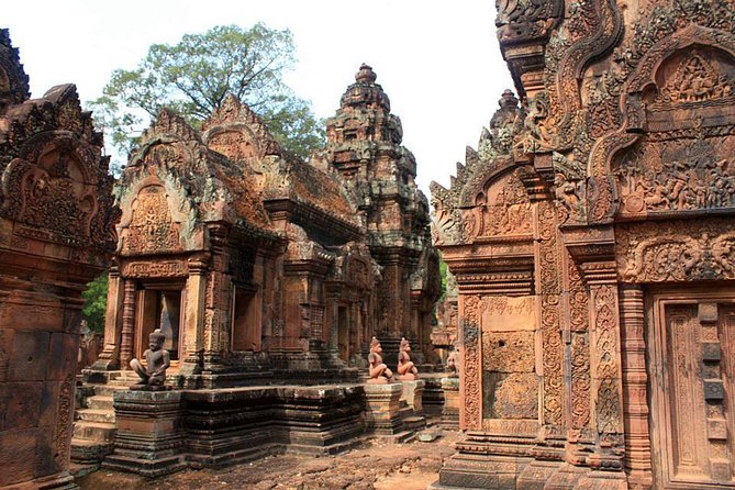 3-D Angkor Temples With One Sunrise - Day one: Ta Prohm, Pre Rup, and Banteay Srei
