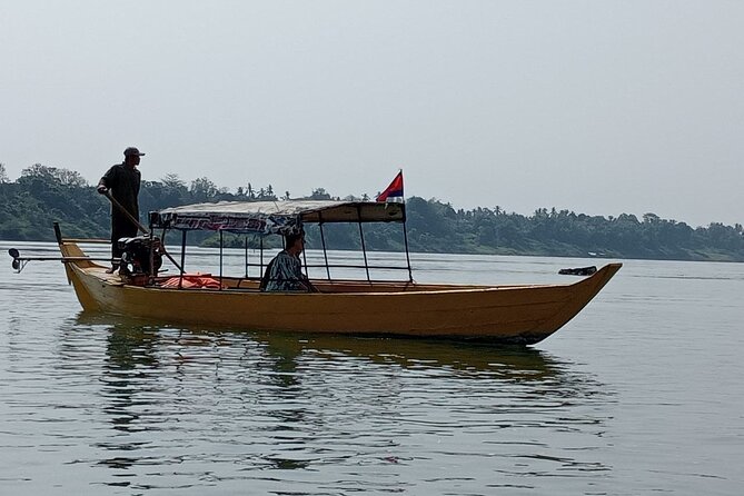 4 hours taking tuk tuk to see Mekong dolphins and countryside - Who will enjoy this half-day outing