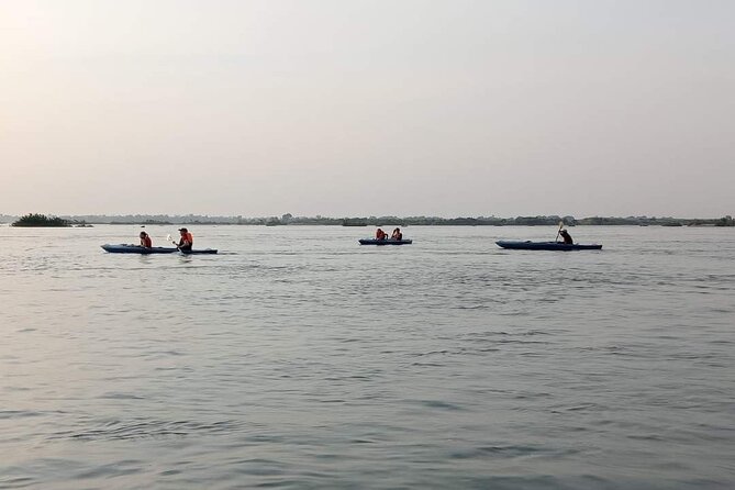 4 hours taking tuk tuk to see Mekong dolphins and countryside - Practical timing, packing, and expectations