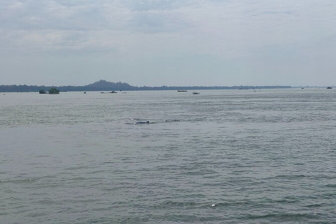 4 hours taking tuk tuk to see Mekong dolphins and countryside - The tuk-tuk ride from Kratie into the countryside