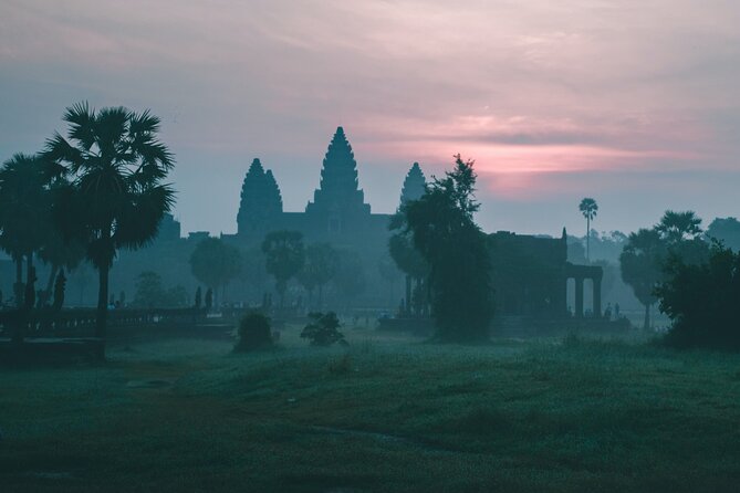 5 Must-See Temples With Private Guided Tour - Ta Prohm and the Tomb Raider effect