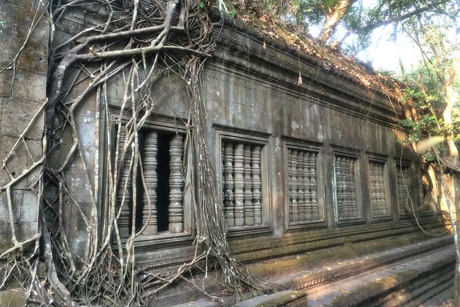 A Day Angkor Wat Sunrise Tour, Ta Prohm & Hidden Gems Beng Mealea - Banteay Srei and Cambodia’s finest small-scale carving