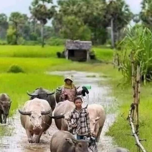 A day tour through Battambang/Local area and landmarks - FAQ