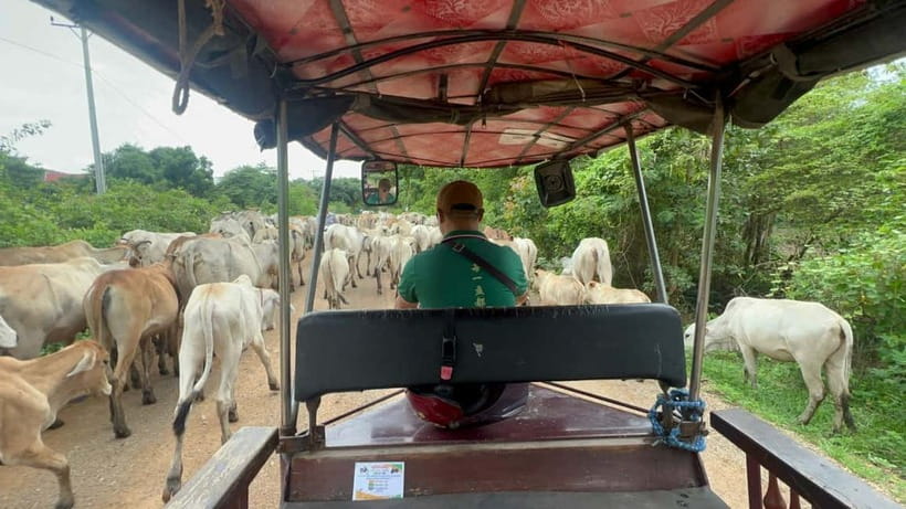 A day tour through Battambang/Local area and landmarks - A tuk tuk route from old Battambang to the countryside