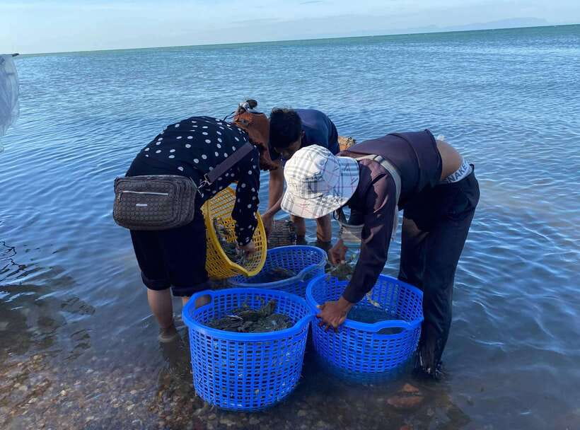 A Day Trip to Kep Beach and Kampot from Phnom Penh - Salt fields and Cambodia’s coastal work
