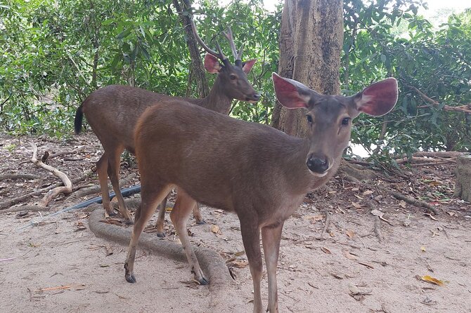 A Day Trip To Phnom Chisor - Tonle Batti From Phnom Penh - Tonle Bati and the Ta Prohm temple