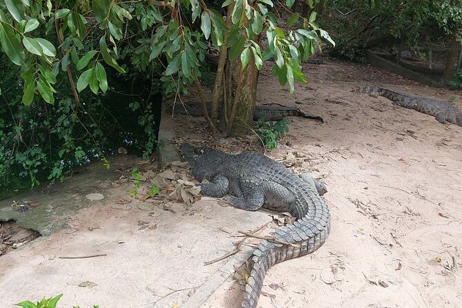 A Day Trip To Phnom Chisor - Tonle Batti From Phnom Penh - What the $61 price gives you