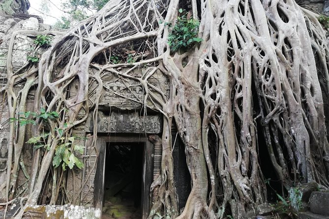 Afternoon Angkor Wat Private Tour with Sunset - Bayon’s stone faces inside Angkor Thom