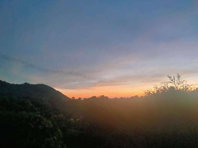 Afternoon Tour: Bamboo Train, Killing Cave &Bat Cave - Who should book this afternoon?