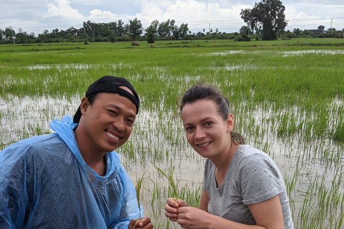 Afternoon Tour BambooTrain & Bat Cave - Sunset over the rice fields at about 5:30 PM