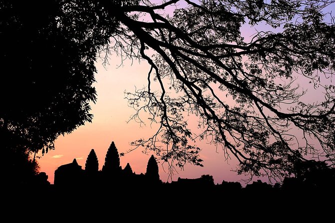 Angkor 2-Day Sunset & Sunrise Small-Group Tour - Ta Prohm: trees, ruins, and the famous mood