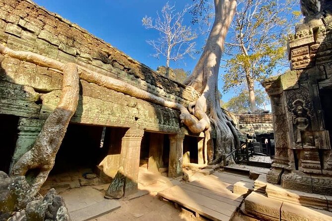 Angkor Cab: Siem Reap 3 day private tour: 'off the beaten track' - Day 3: Beng Mealea and the first Khmer capital