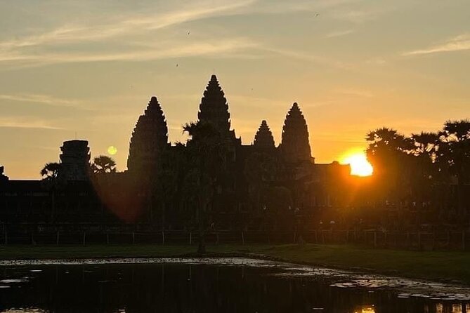 Angkor Full Day Tour All The Main Temples - Ta Prohm and the trees around the ruins