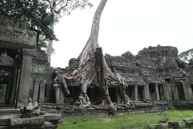 Angkor Grand Circuit Temples Tour - Why this Grand Circuit route is worth your day