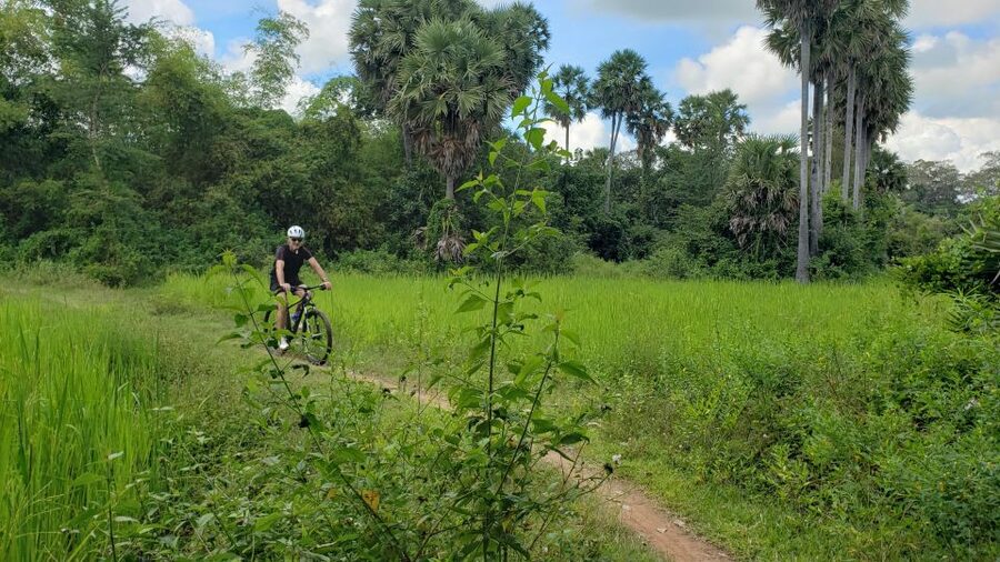 Angkor Jungle Biking Adventure Private Cycling Tour - Jungle paths and the road to Angkor Thom