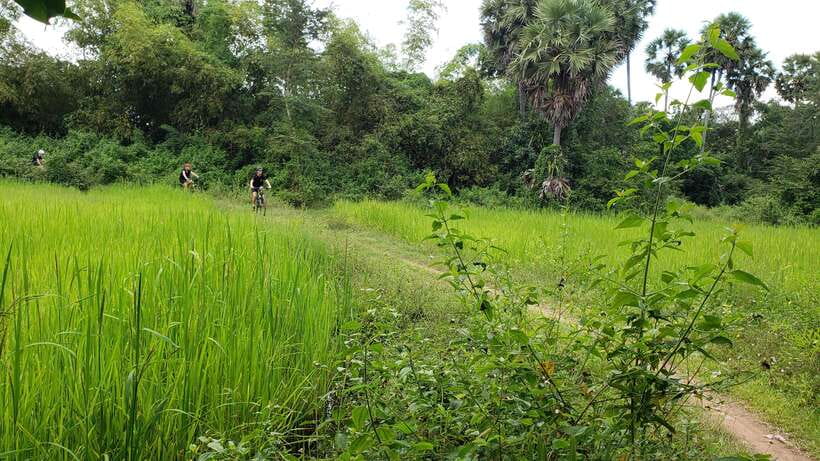 Angkor Jungle Biking Adventure Private Cycling Tour - Ta Nei, the quiet temple stop
