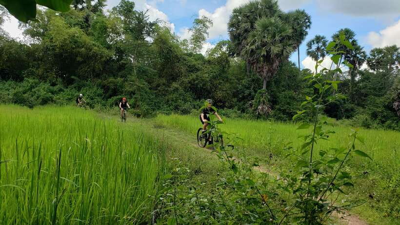 Angkor Jungle Biking Adventure Private Cycling Tour - Ta Prohm and the Tomb Raider atmosphere