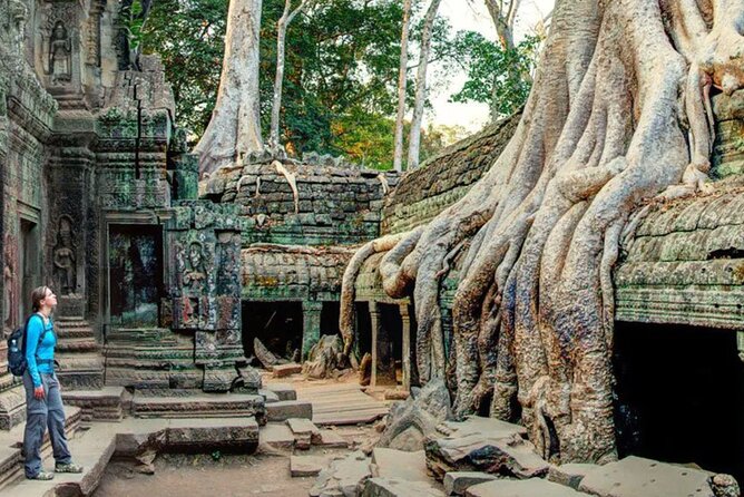 Angkor Sunrise Small Group Tour Inclusive Breakfast and lunch - Who will get the most from this tour
