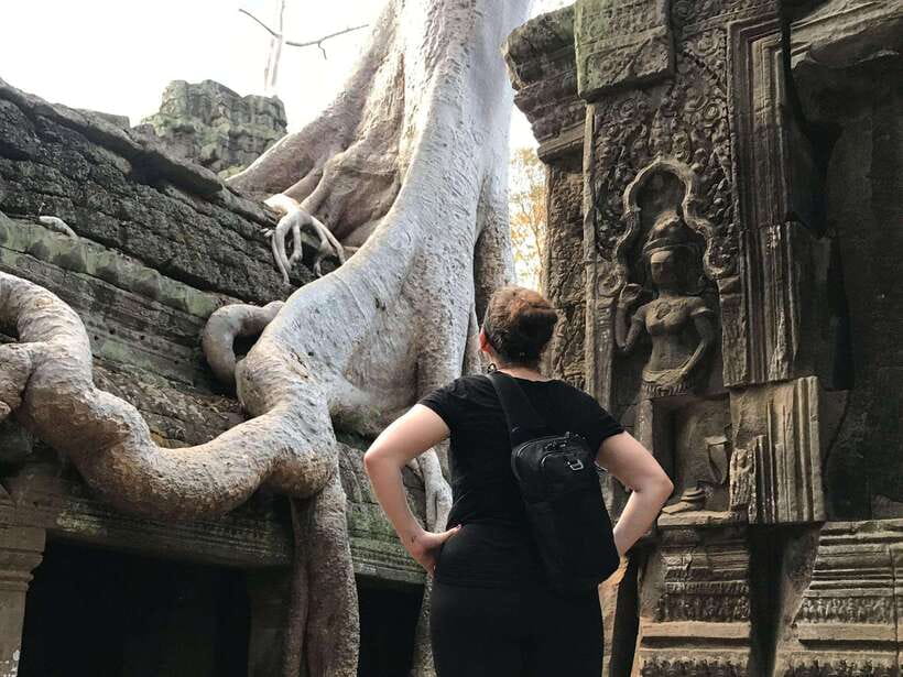 Angkor Temples Highlights Tour: 2 Days with Sunrise - Ta Prohm gives the first day its jungle drama