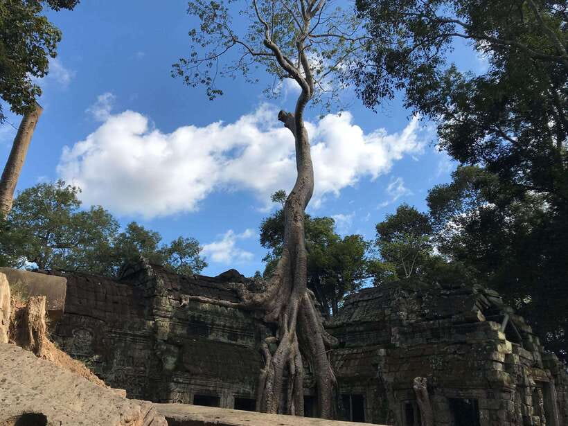 Angkor Temples Highlights Tour: 2 Days with Sunrise - Angkor Thom and Bayon reveal a royal city