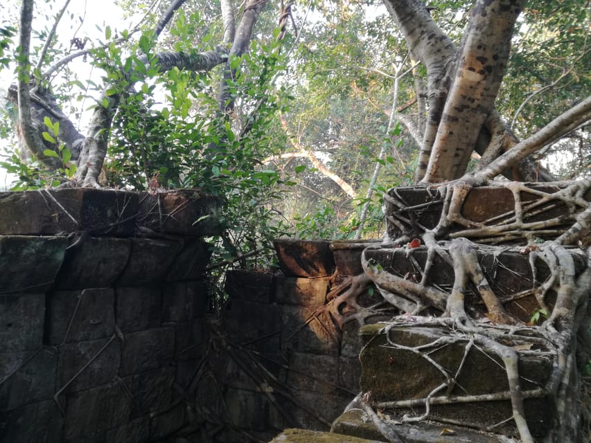 Angkor Temples Highlights Tour: 2 Days with Sunrise - Day two follows the Grand Circuit