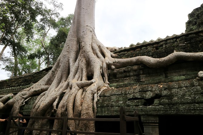 Angkor Temples Private Full-Day Tour from Siem Reap (Free Child) - Angkor Wat deserves the longest visit