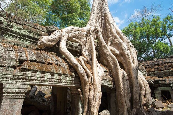 Angkor Thom Ta Prohm and Sunset in Angkor Wat Golden Hour Tour - What the guides add to the temple visit