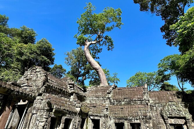 Angkor Wat 1-Day Tour by Private Car or Minivan - What is included, and what is not