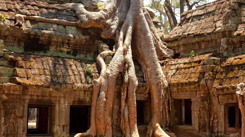 Angkor Wat: 2-Day Sunrise and Floating Village Tour - The terraces, Ta Prohm, and Banteay Kdei