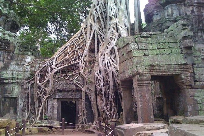 Angkor Wat 2-Day Tour - Angkor Wat rewards an early, careful look