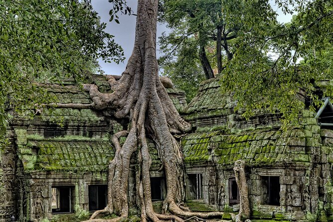 Angkor Wat, Angkor Thom & Elephant Terrace Half-Day Tours - Starting with Angkor Wat’s long view