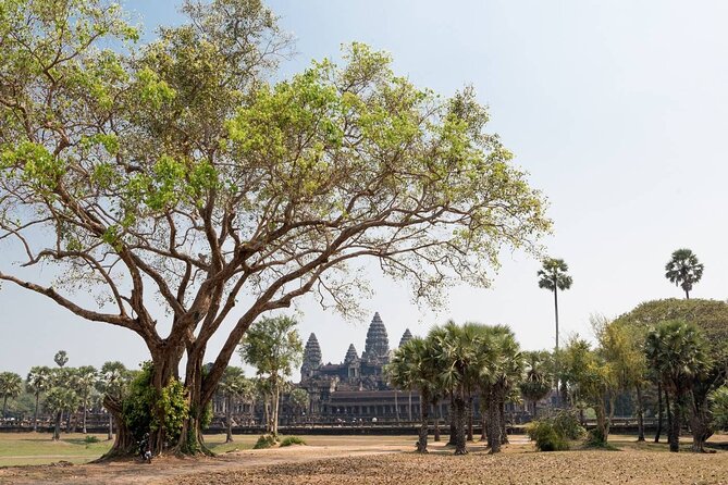 Angkor Wat, Angkor Thom & Elephant Terrace Half-Day Tours - Is $43 a good value?