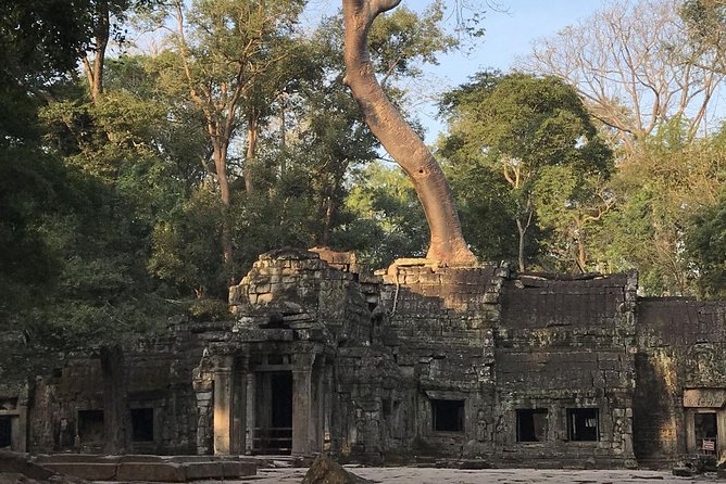 Angkor Wat by Vintage Jeep – Private Tour - Why a Jeep works well at Angkor