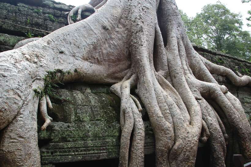 Angkor Wat Full-Day Private Tour with Sunset - Who should book this Angkor tour?