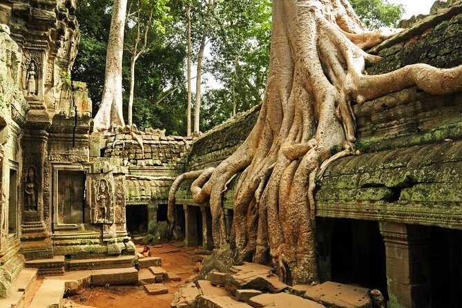 Angkor Wat full Day 'Small Group with sunset & Tour Guide - Phnom Bakheng and the Sunset Question