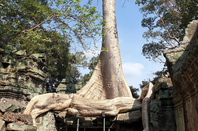 Angkor Wat Full Day Tour in Siem Reap Small-Group - Why this timing makes sense at Angkor Wat