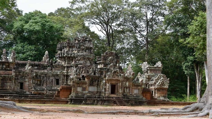 Angkor Wat Guided Sunrise Tour - Ta Prohm and the roots over the ruins