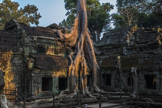 Angkor Wat highlight Tour From Sunrise -Small Group - Bayon’s central towers and the Angkor Thom terraces