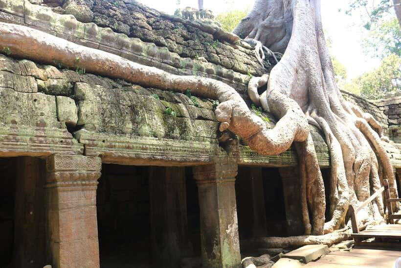 Angkor Wat: Highlights and Sunrise Guided Tour - What the guide and driver add